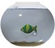 fish bowl with green fish