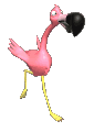 pink bird running animation