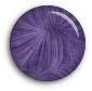 purple swirl bullet