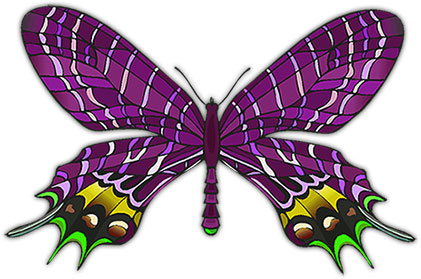 green yellow and purple butterfly