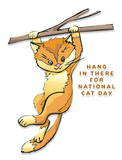 hang in there