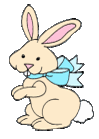 bunny animation