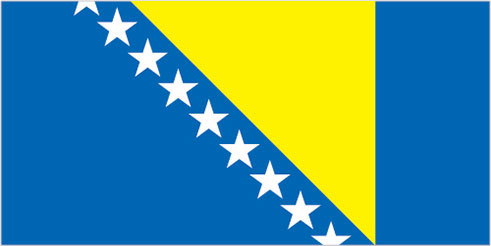 large bosnia and herzegovina flag