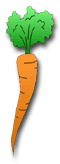 carrot graphic