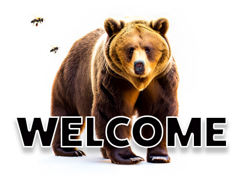 welcome bear