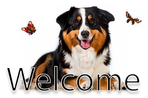 welcome happy dog