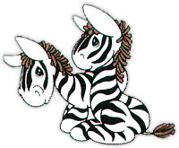 two baby zebras
